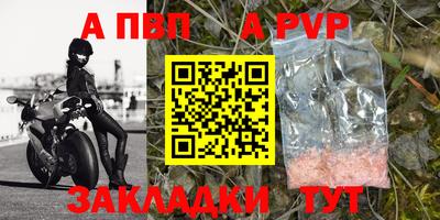 гашик Кунгур