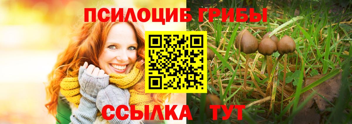 Галлюциногенные грибы Psilocybe Тулун