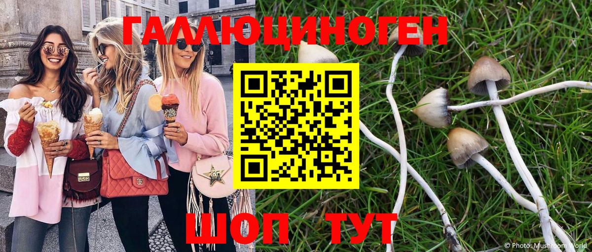 Тулун  Псилоцибиновые грибы Cubensis  Галлюциногенные грибы Psilocybe  Вход с VPN 